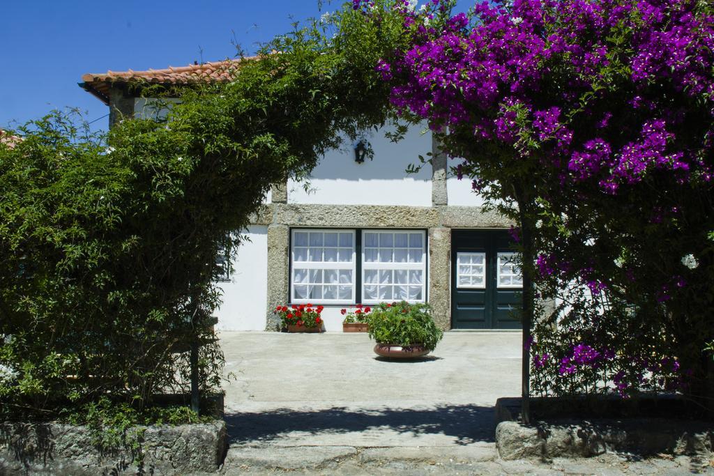 Casa De Assade Διαμέρισμα Grimancelos Εξωτερικό φωτογραφία
